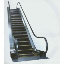 Unique Design of Home Escalator